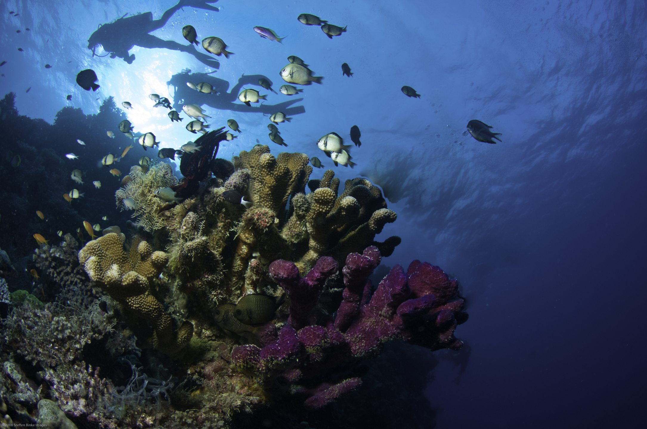 Milln Reef photo 5