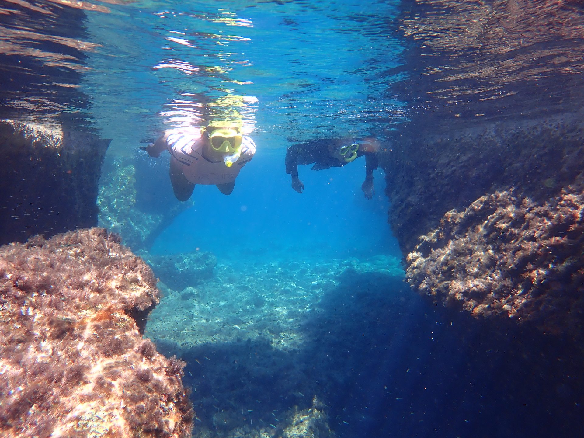 KASTRI photo 15