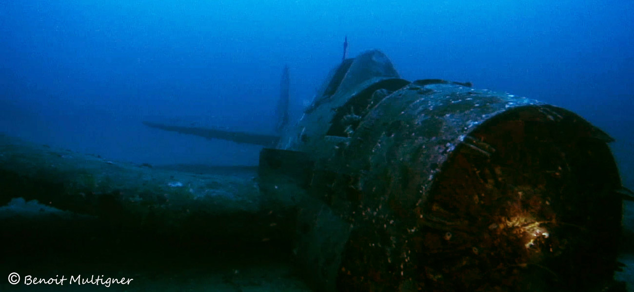 Hellcat (Grimman F6F) photo 5