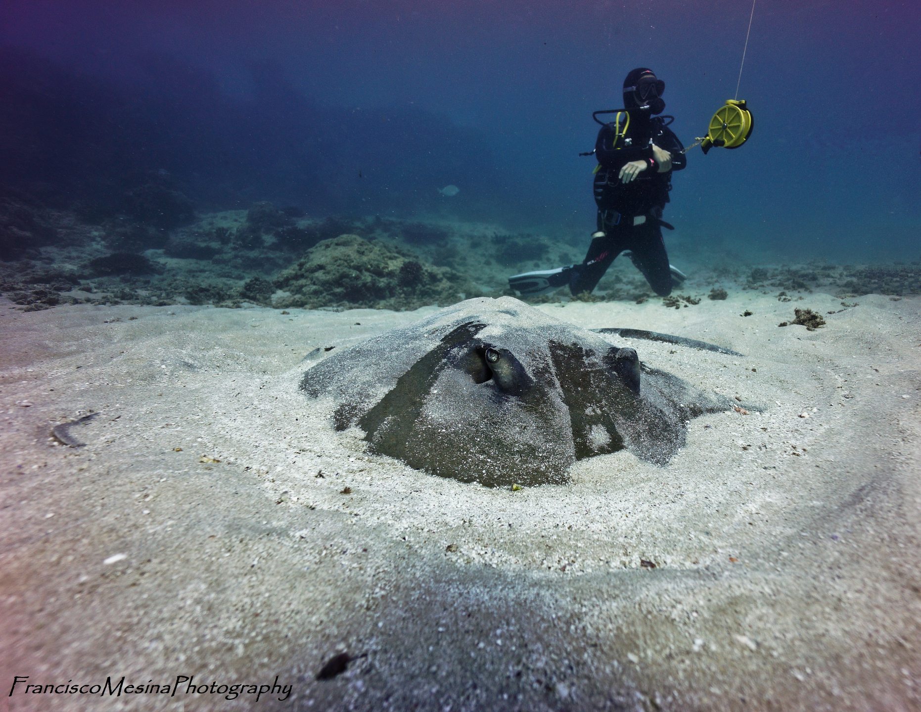 Two Mile Reef photo 3