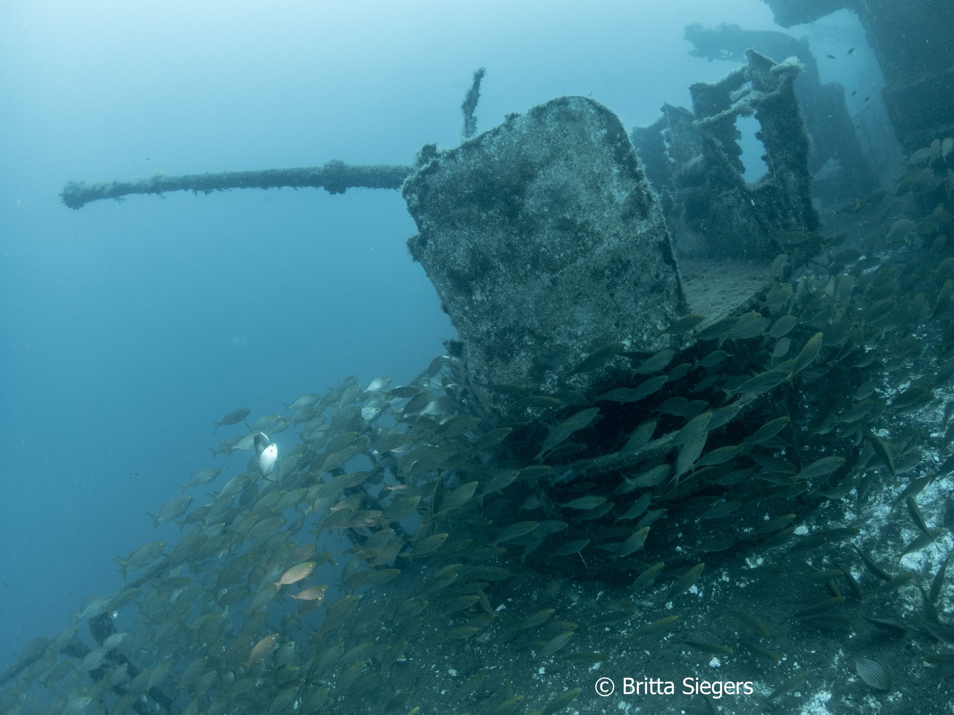 Wreck Afonso Cerqueira photo 12