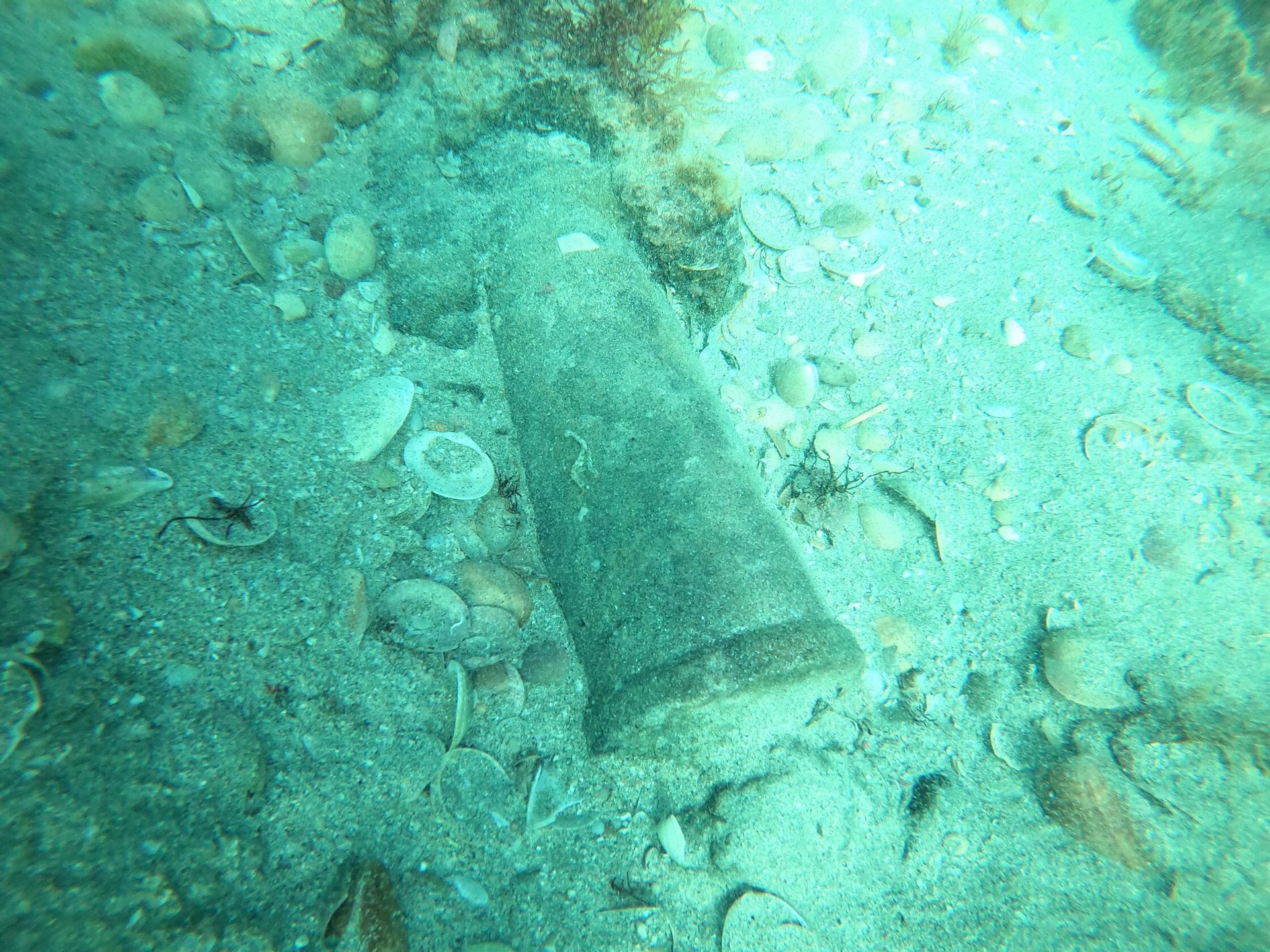 La Bayonnaise photo 9