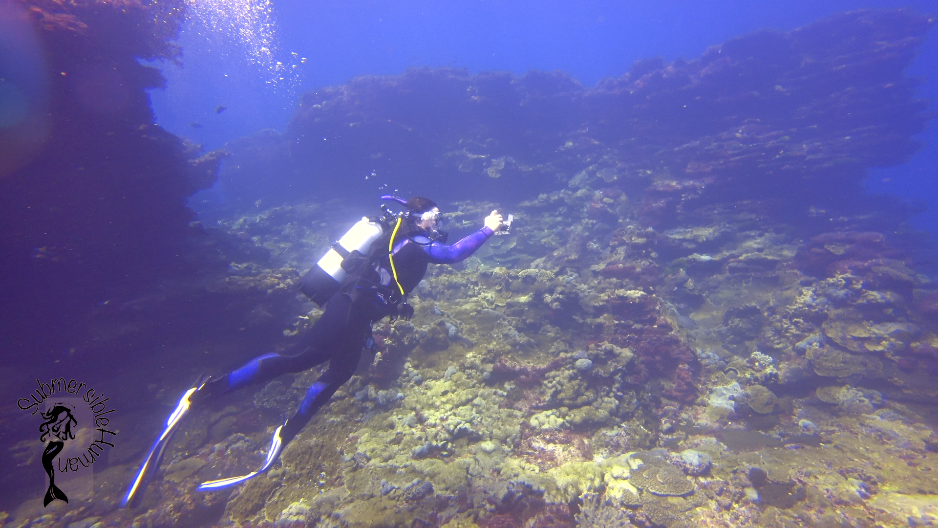 Aldens Cave - Flinders Reef