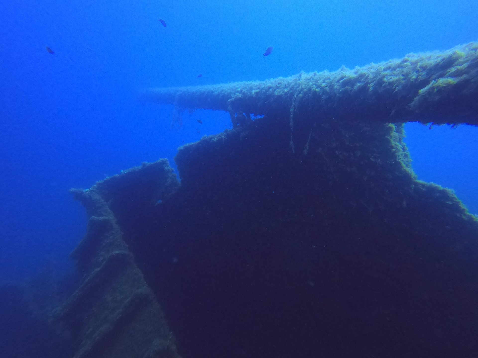 Myrmix and Lefteris – the VERA shipwreck photo 2