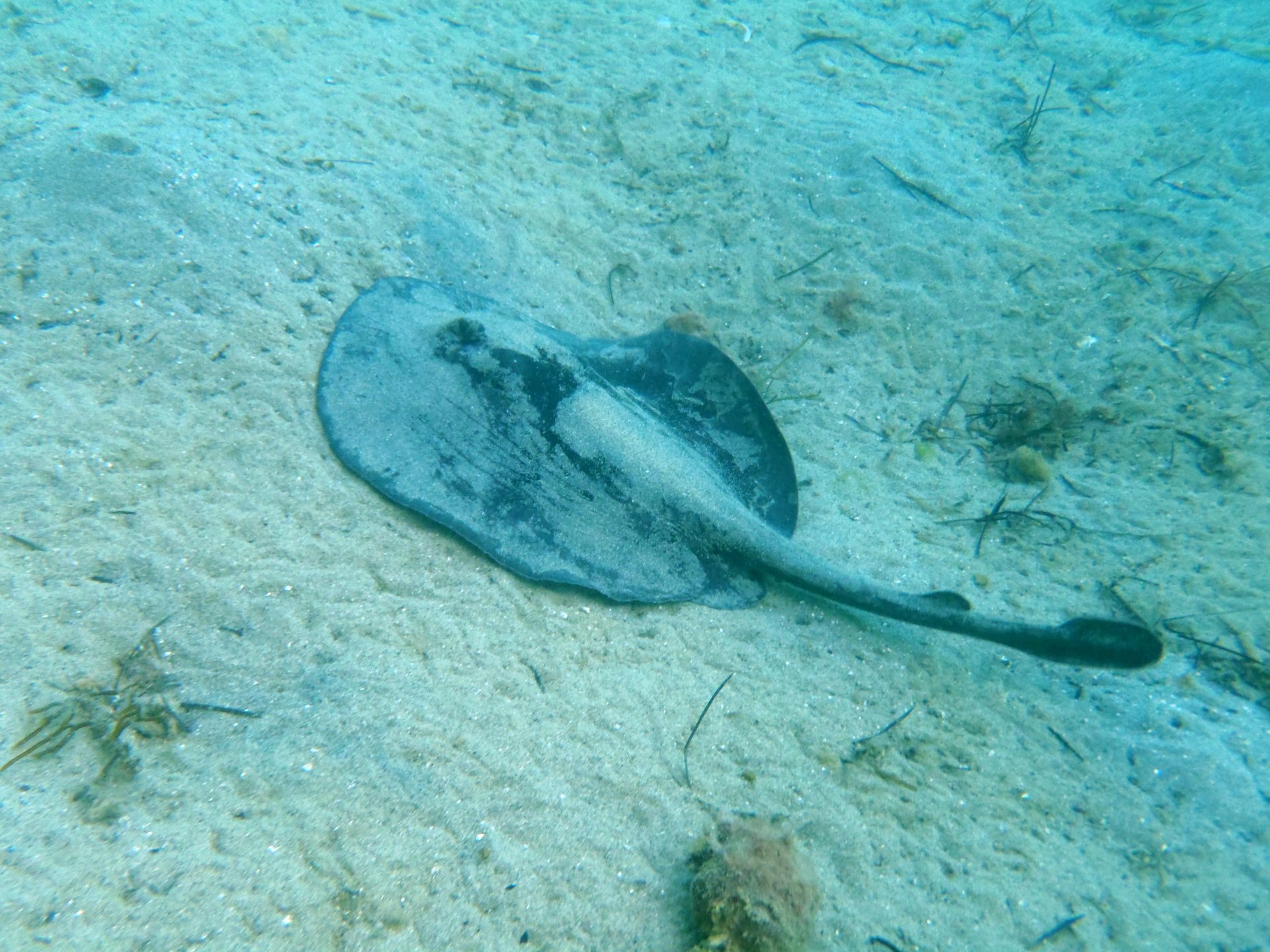 Port Campbell Bay Reef photo 2