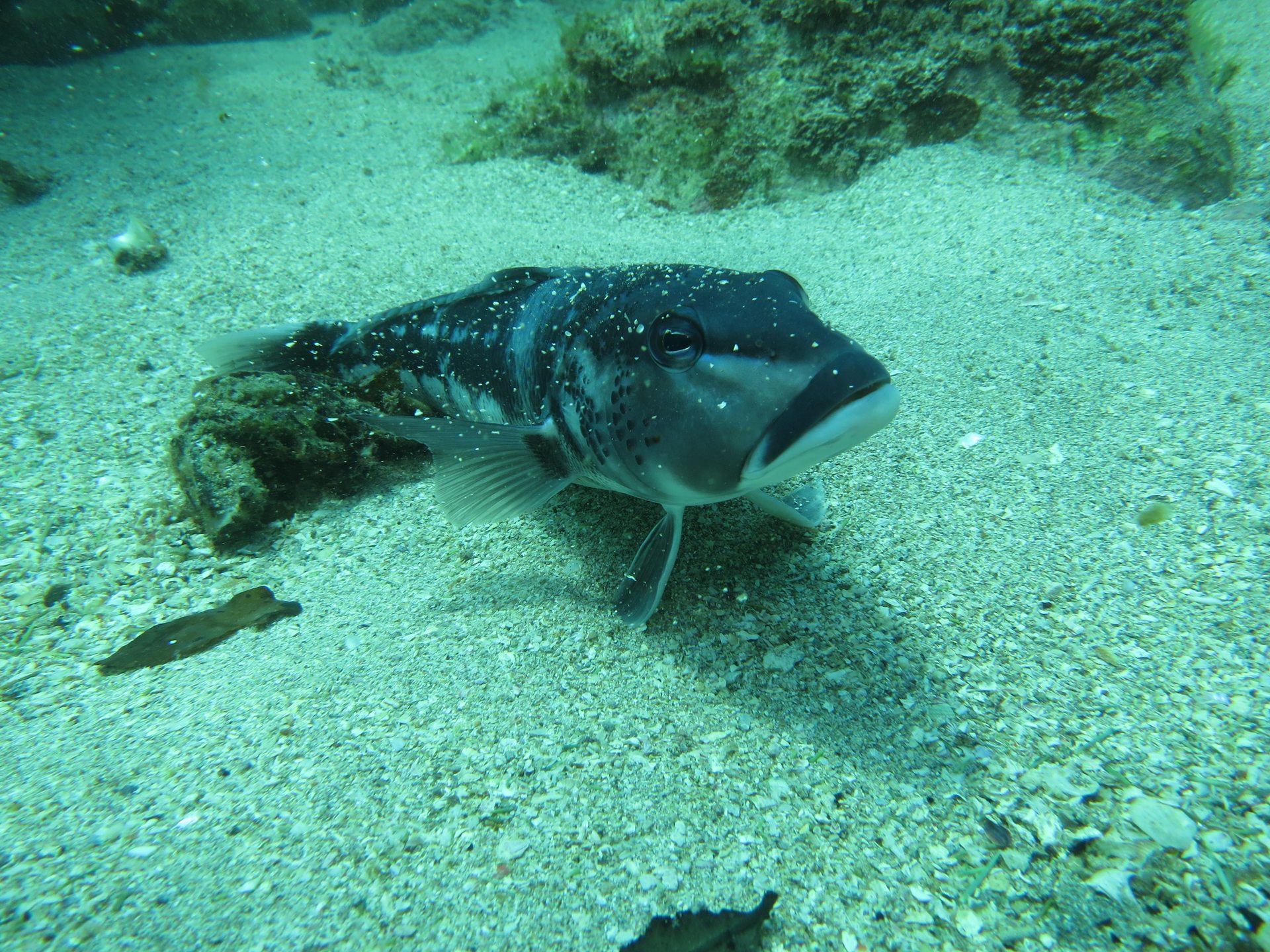 Okorotere Island