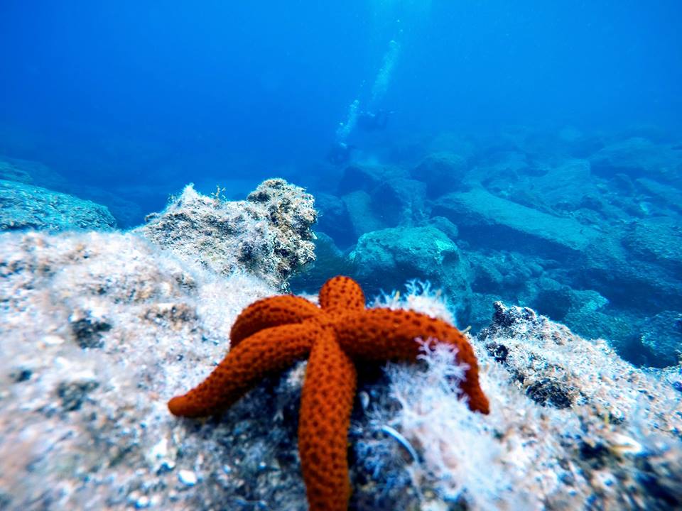 Airport Reef photo 4