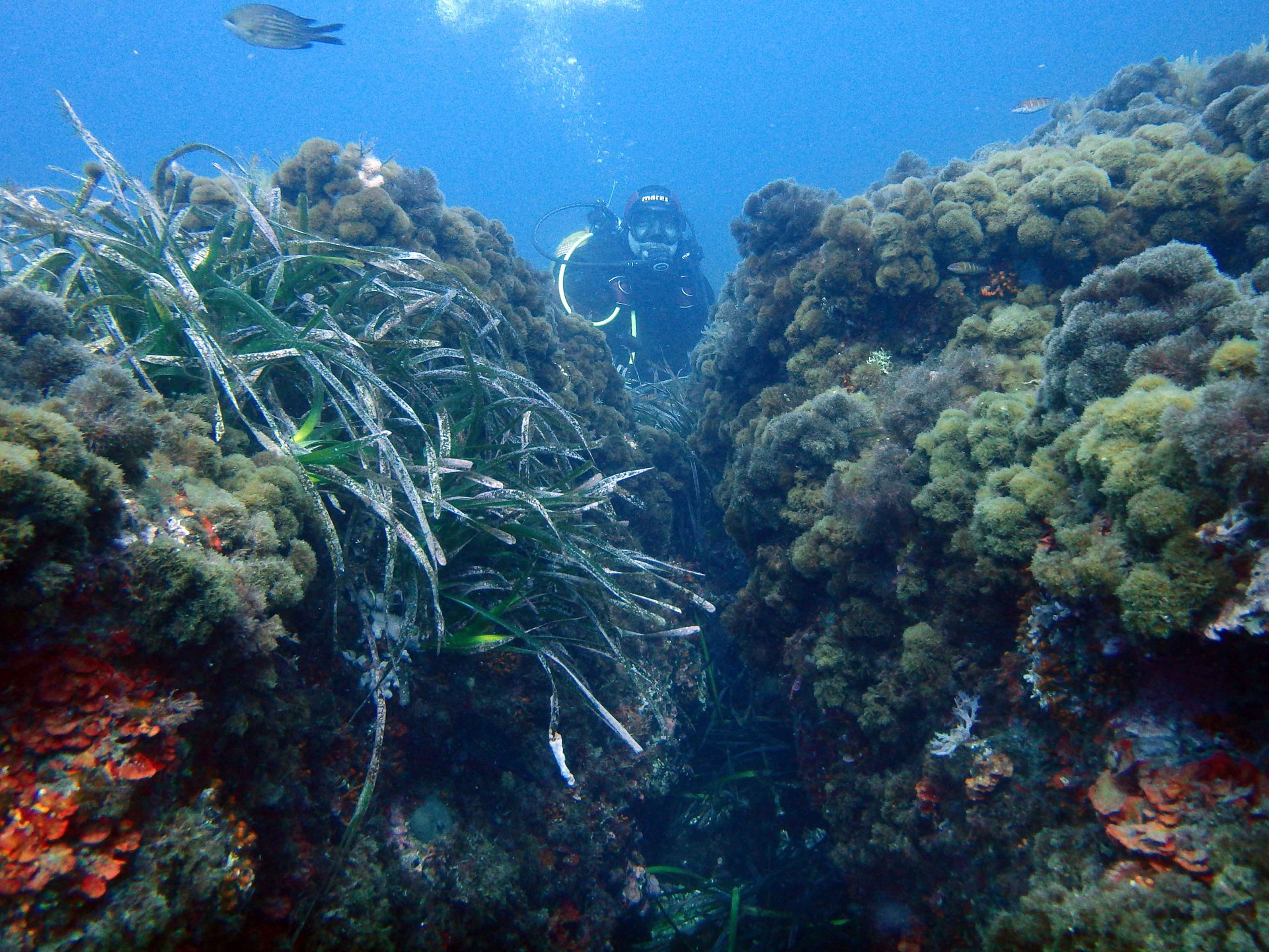Lajas de Cerrillos photo 2