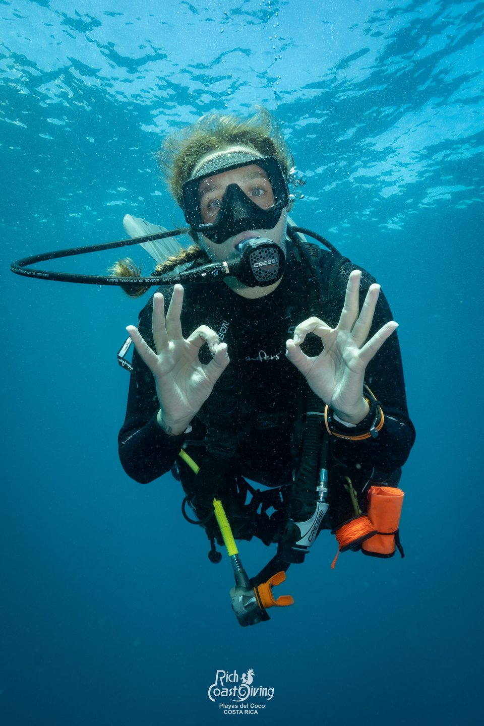 Tortuga photo 7