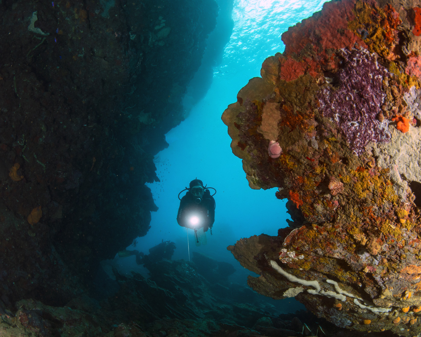 Deacon's Reef photo 4