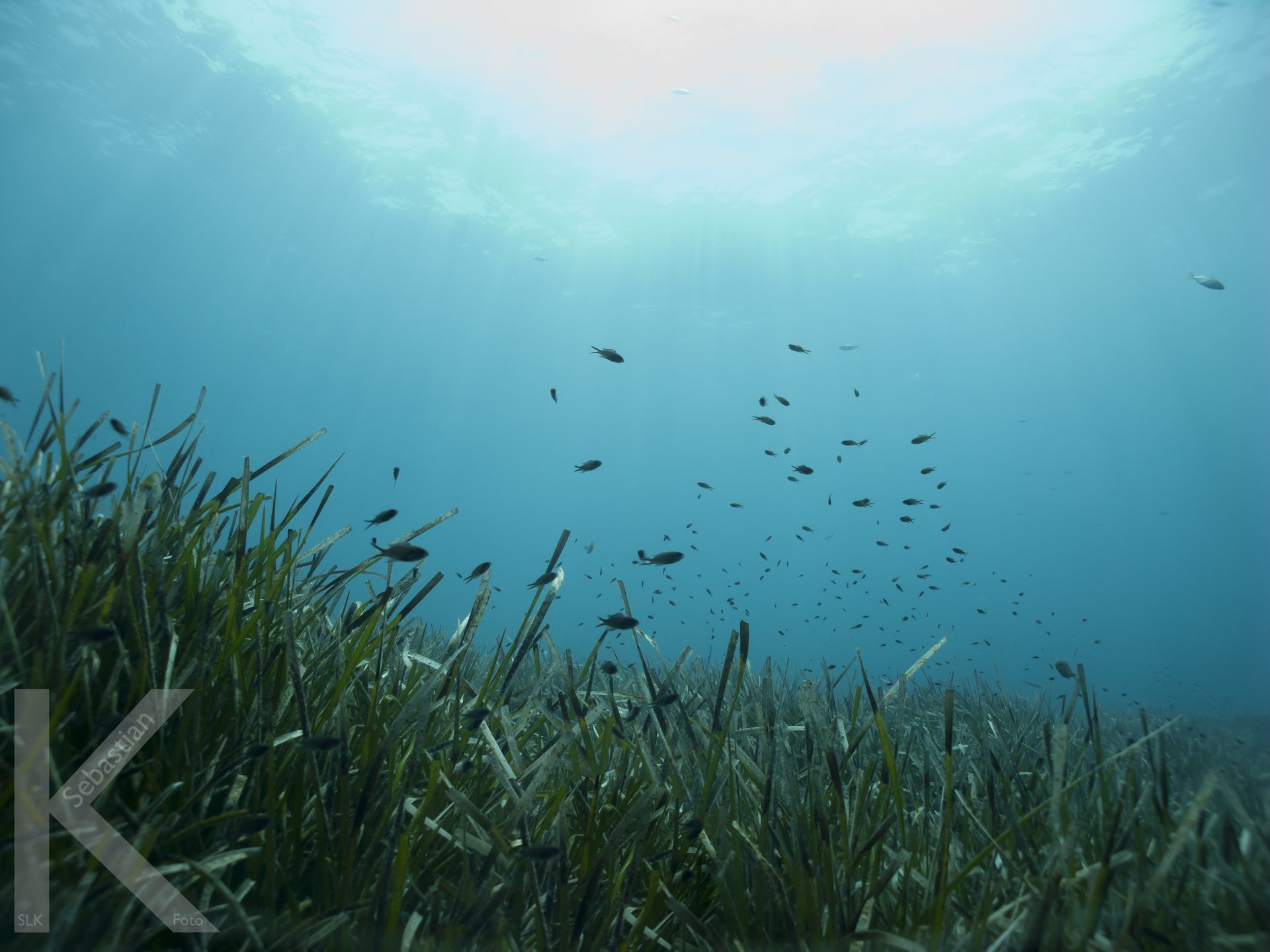 House Reef photo 3