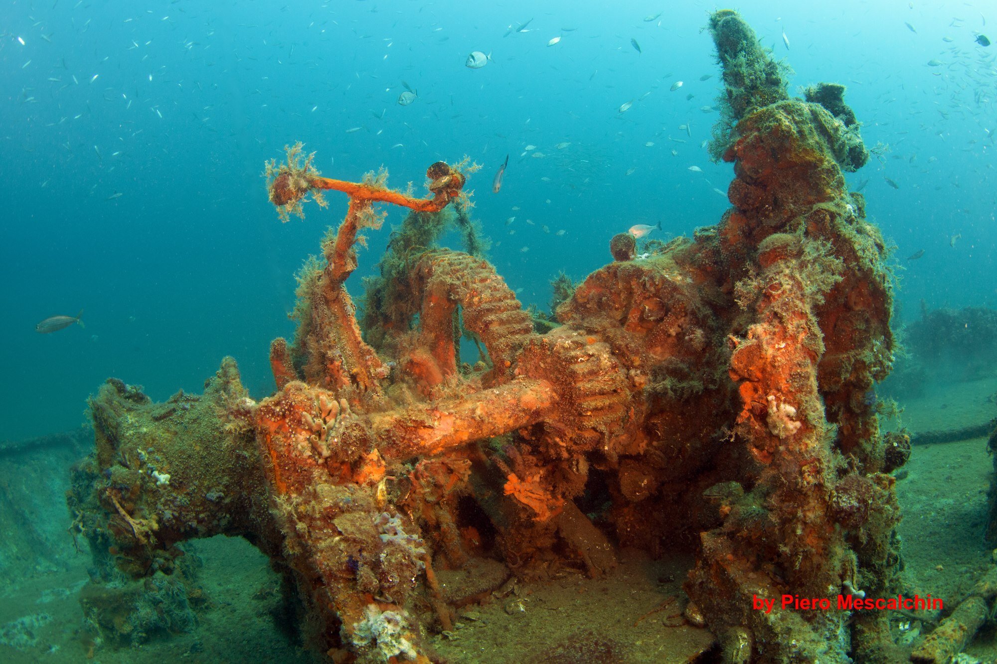 Evdokia II photo 3