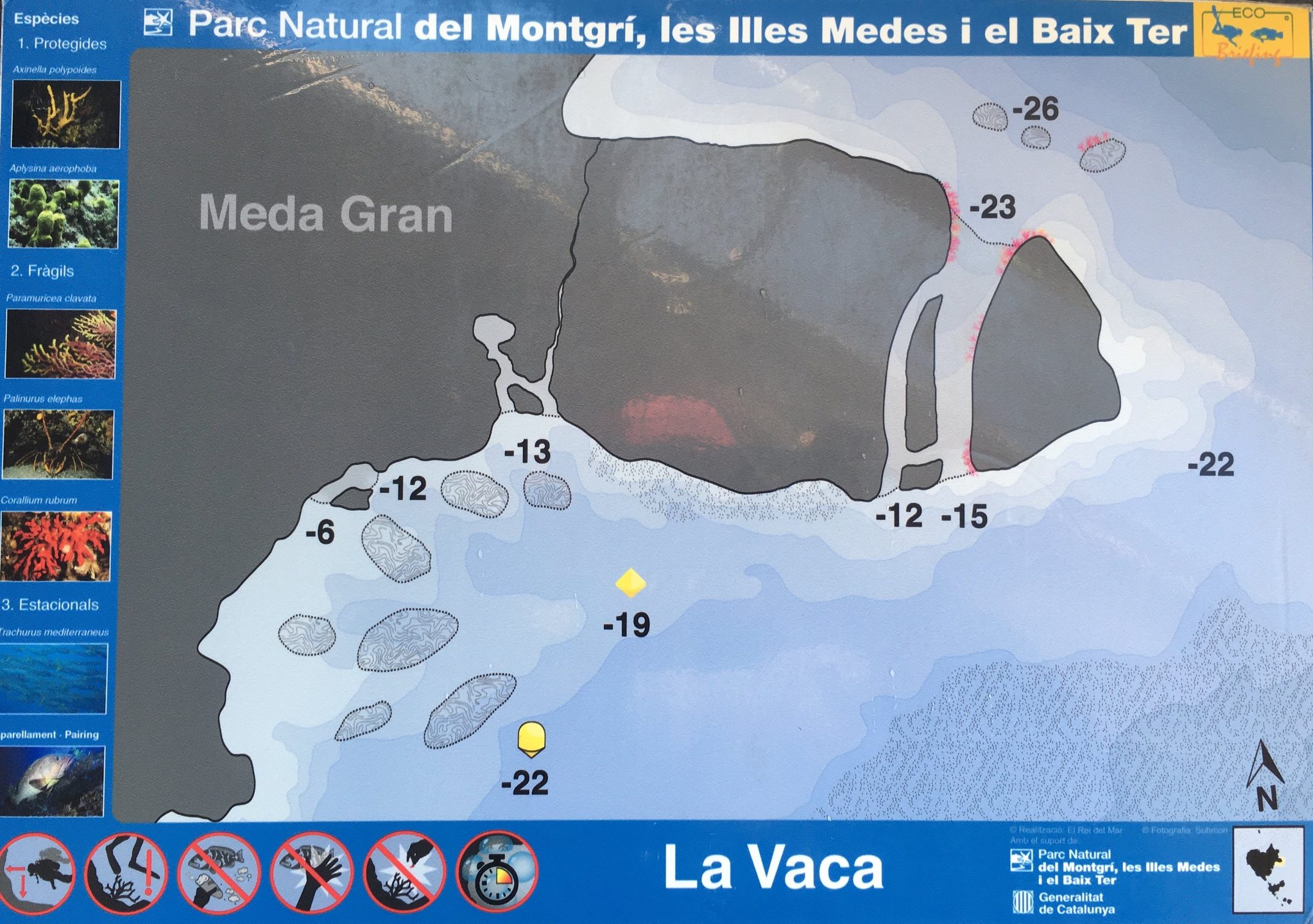 La Vaca photo 4