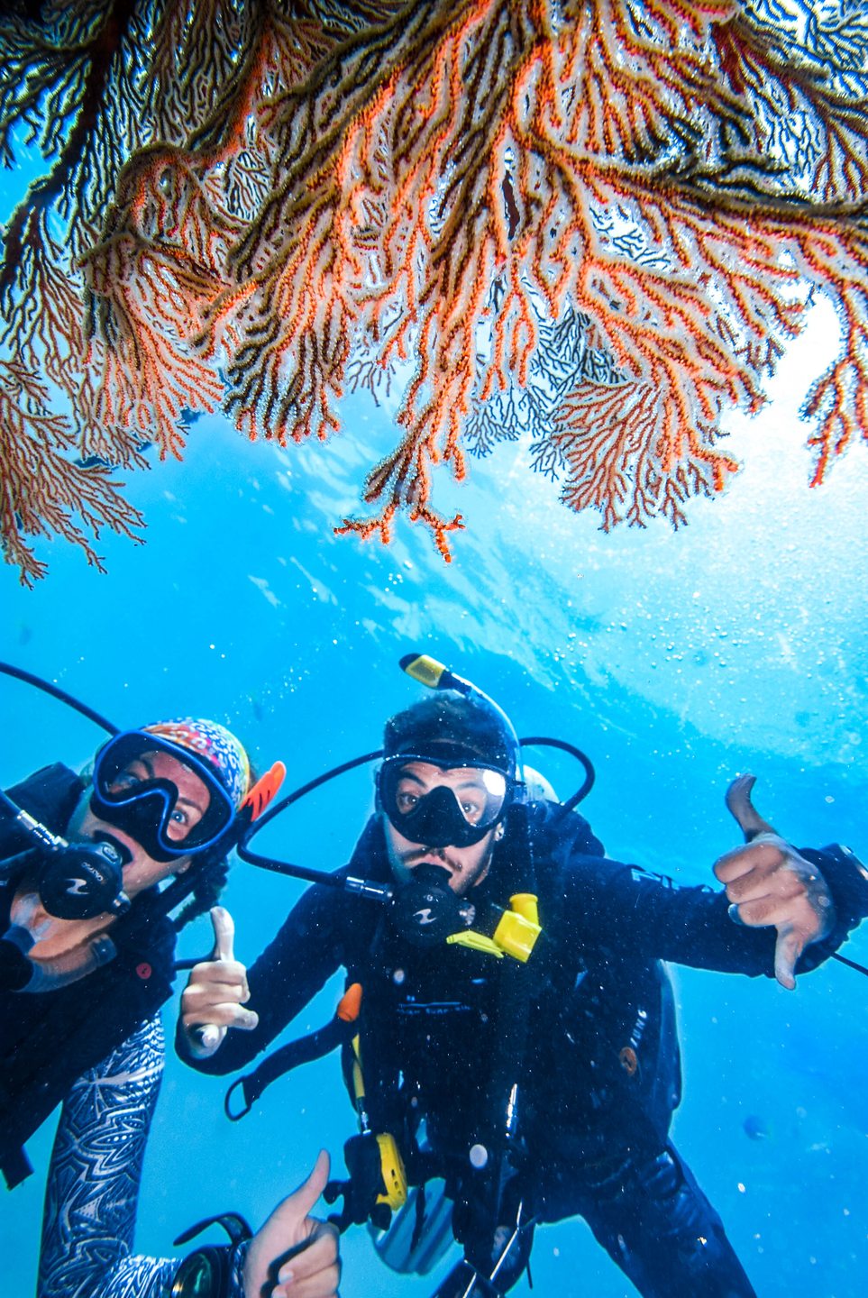 Moore Reef photo 4