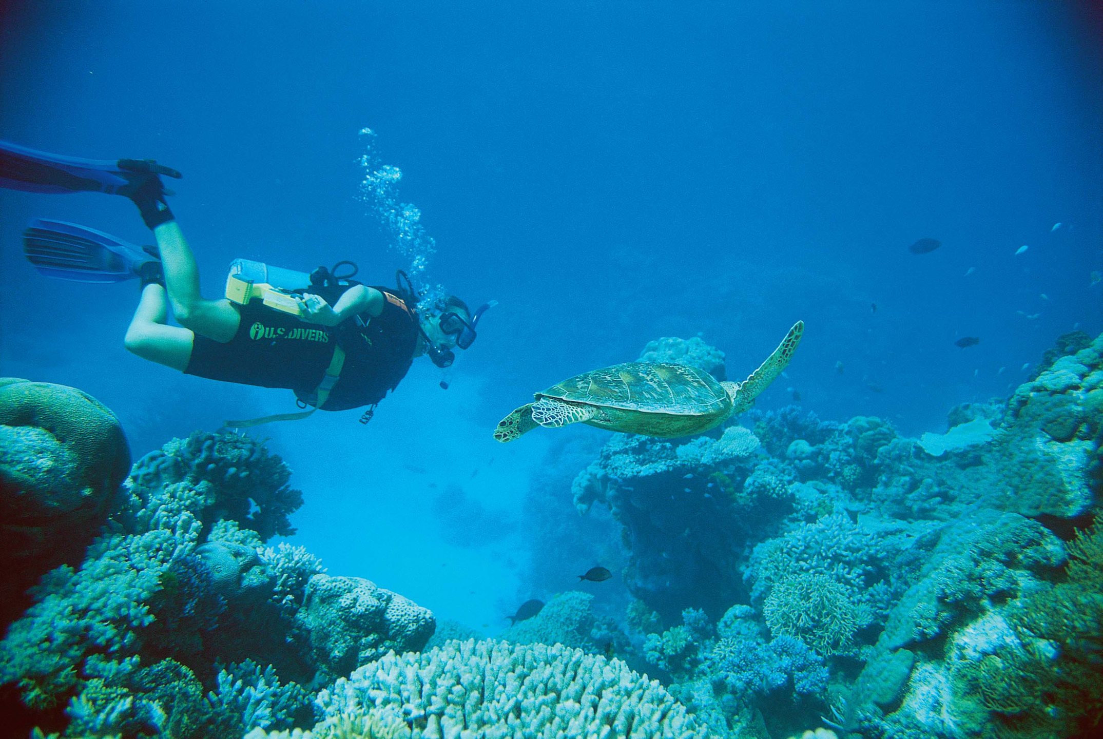 Gordons Mooring photo 10
