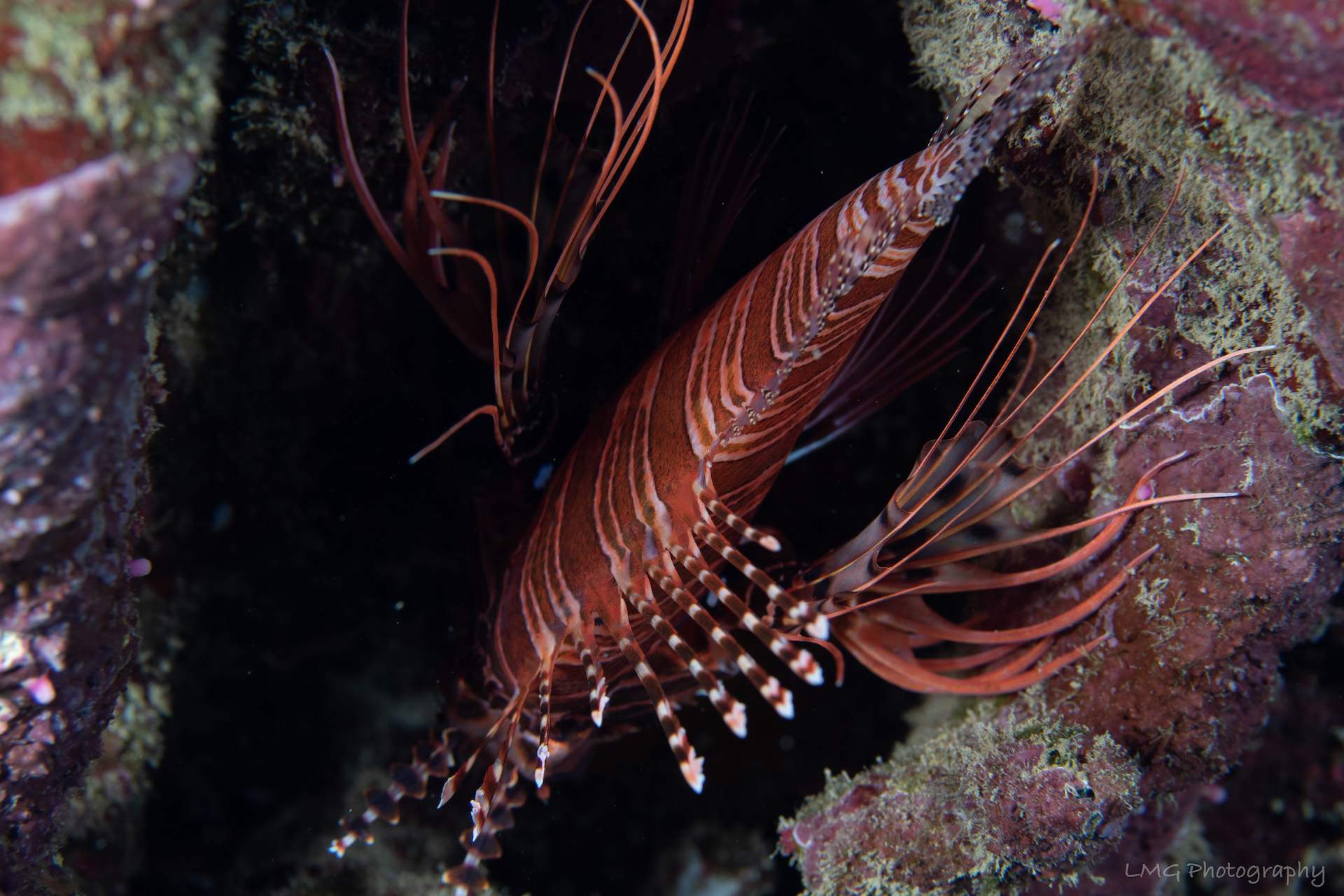 Hap's Reef photo 7