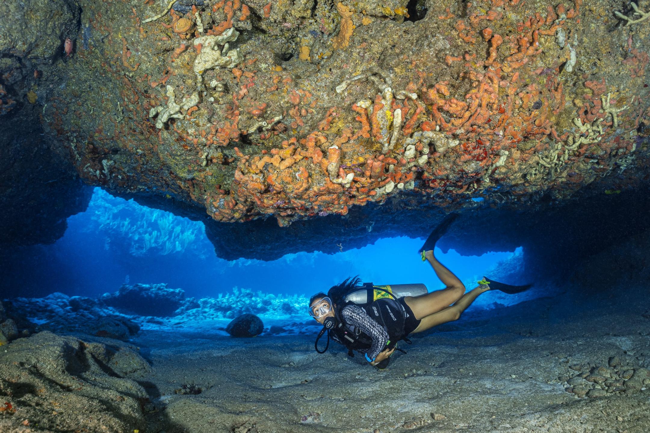 Gigglin Marlin Legacy photo 2