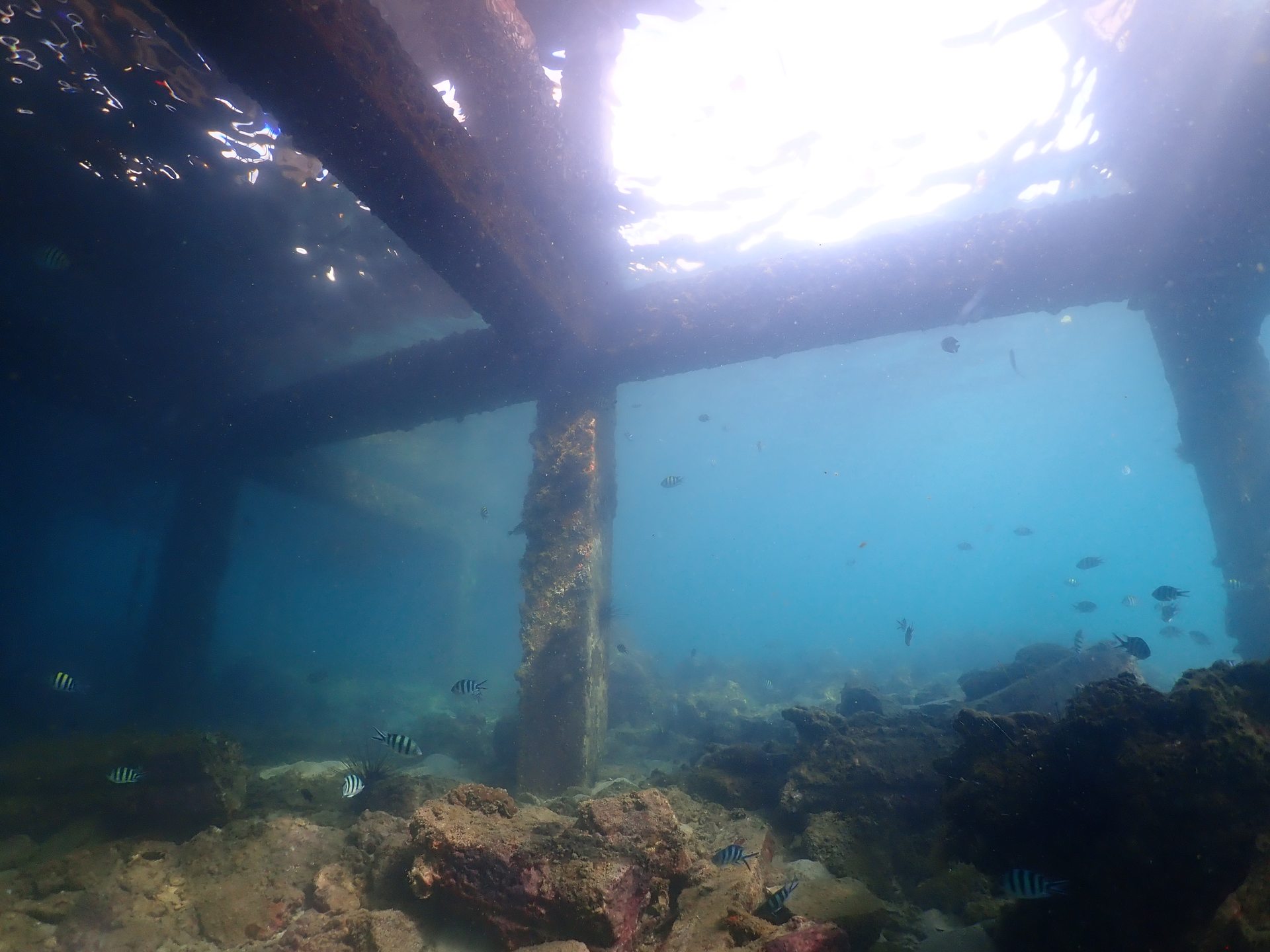 Mun Nai Jetty photo 2