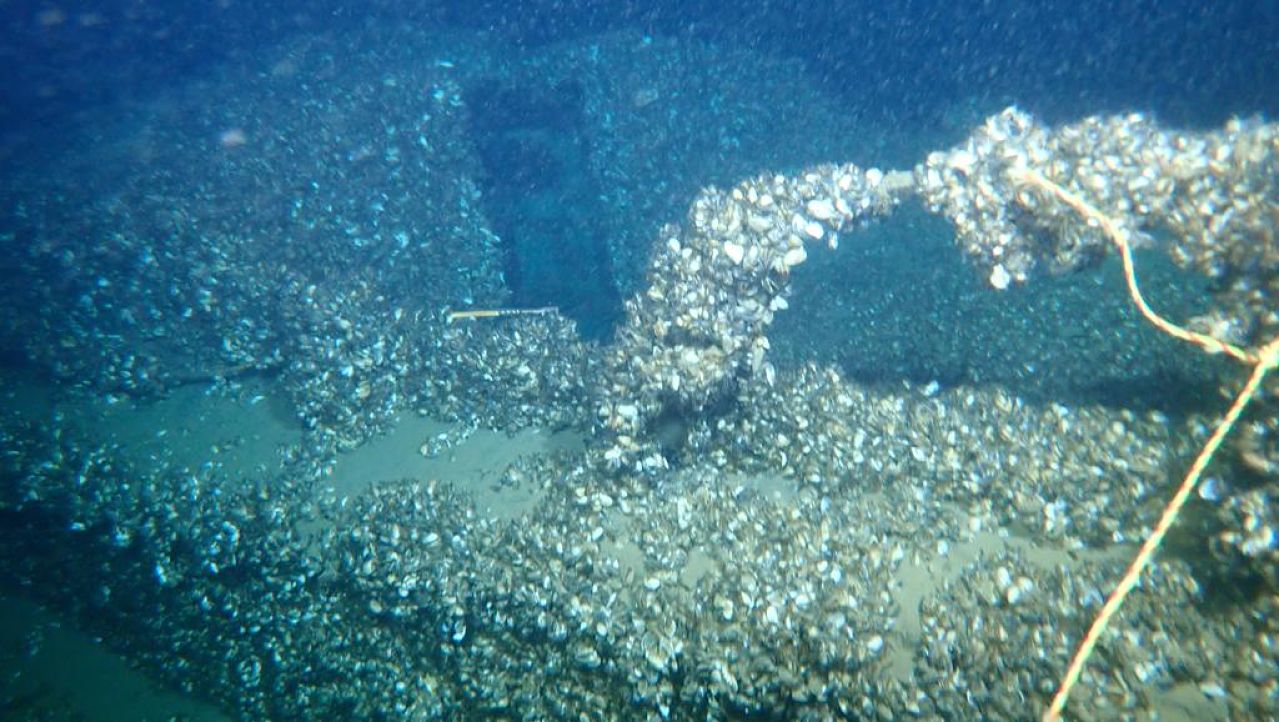 Genthod Hollow photo 3