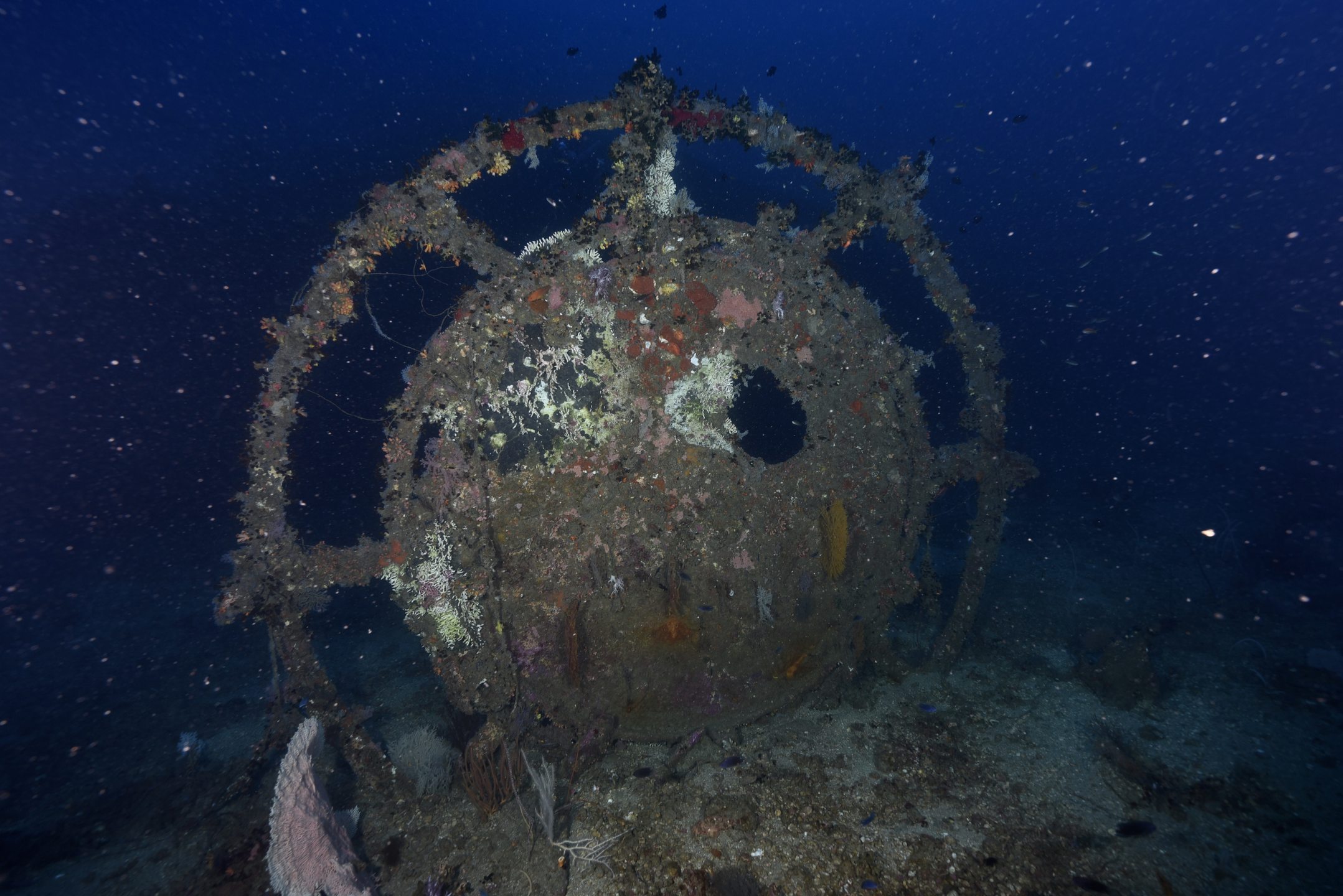 HMS HERMES photo 4