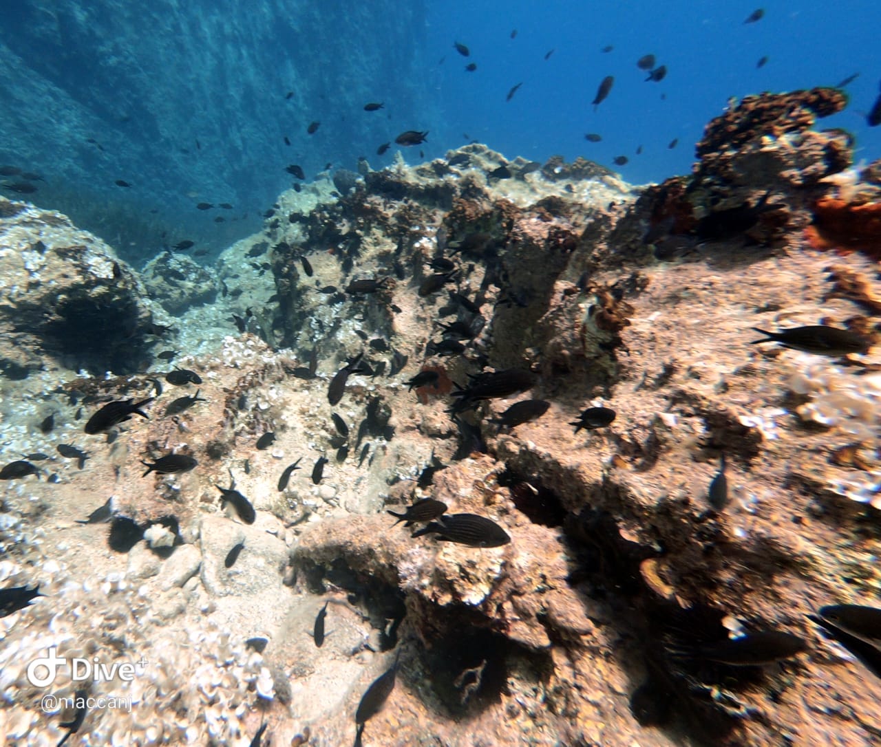 Repi site 2 photo 4