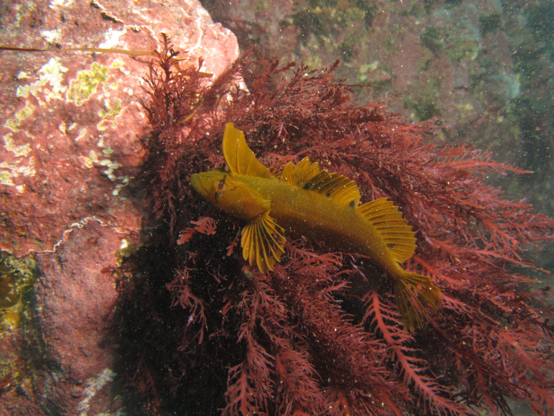 Princess Bay photo 4