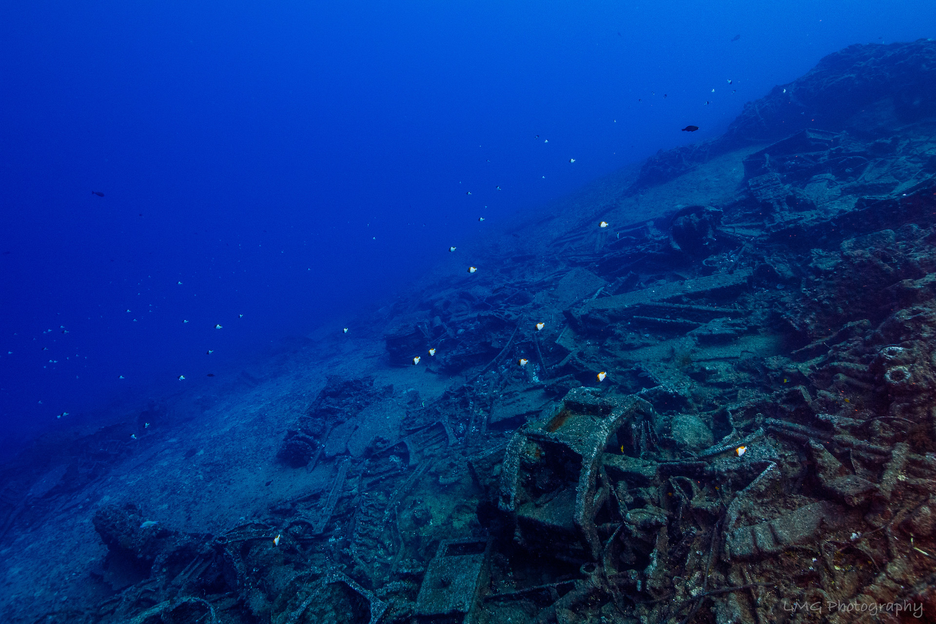 Sharks Pit
