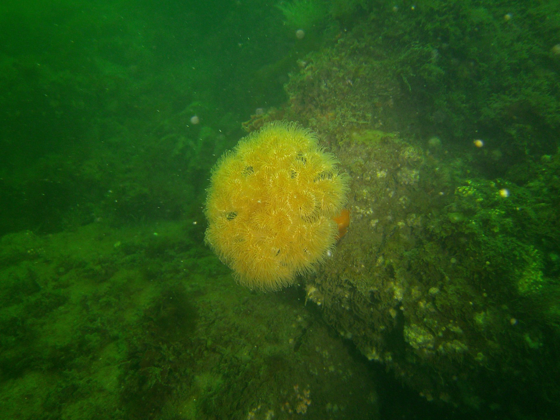 Fort Wetherill State Park photo 2