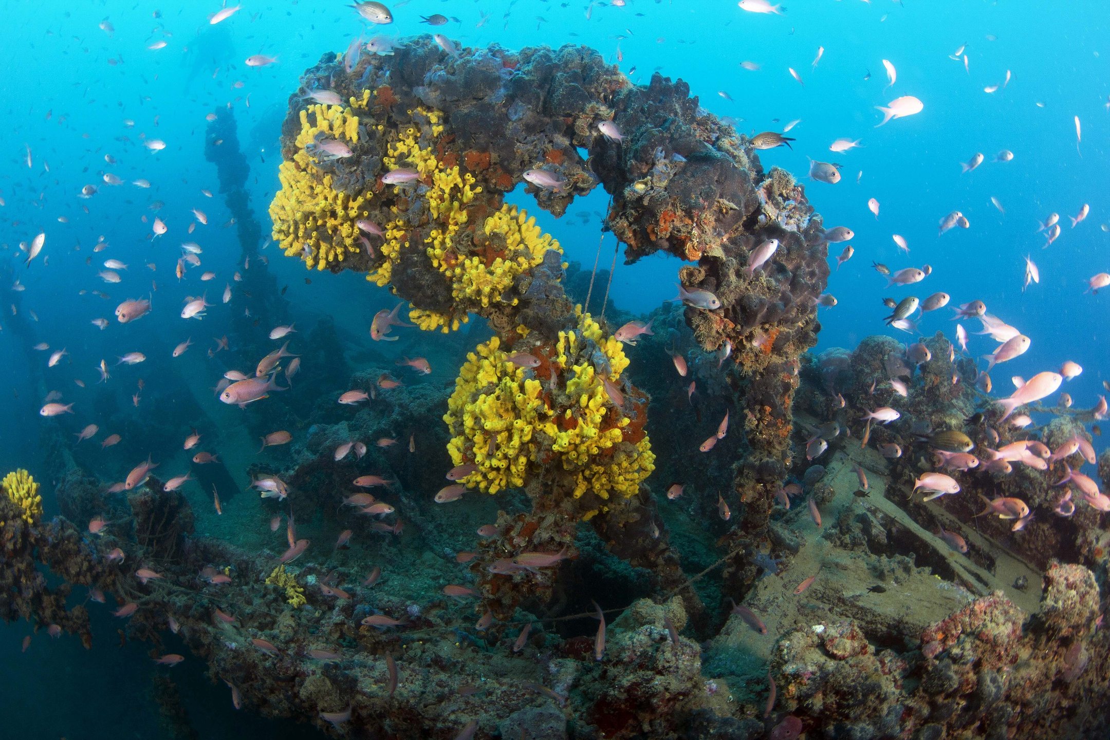 Tihani Shipwreck photo 6