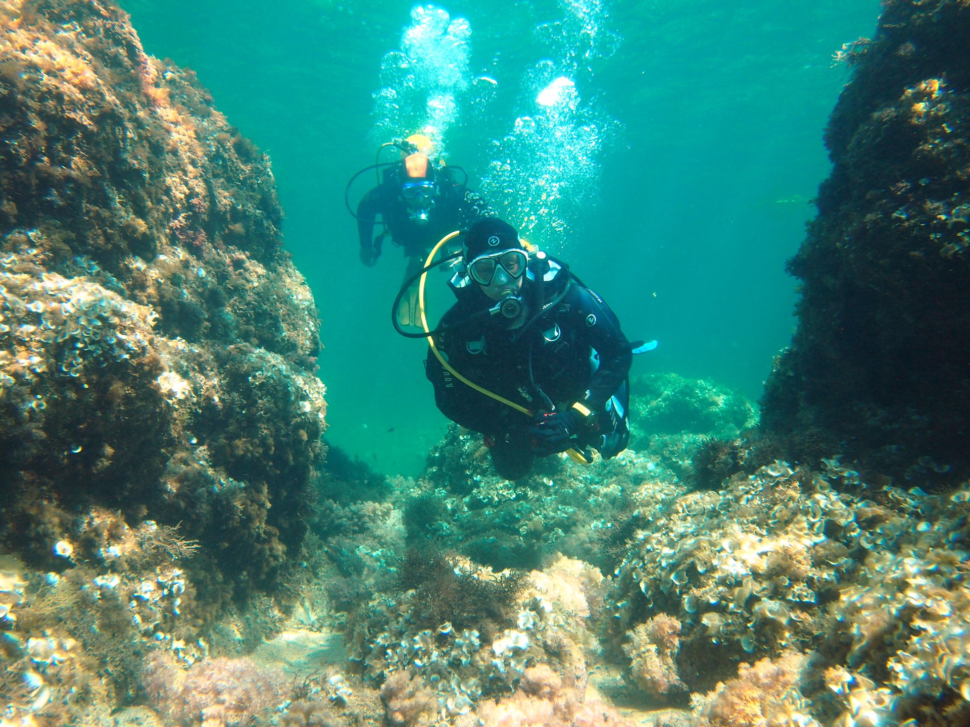 Port Pelegri photo 3