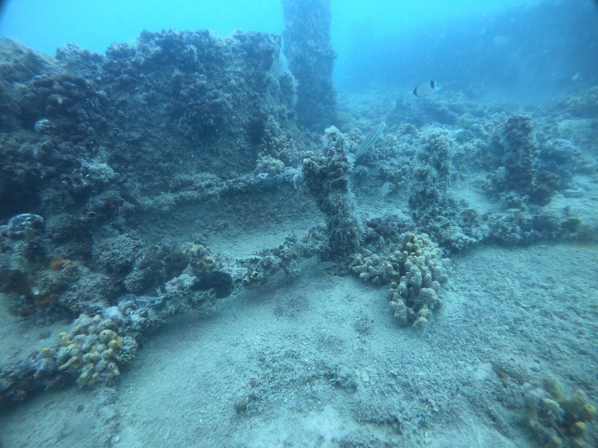 Cretaland Shipwreck photo 10