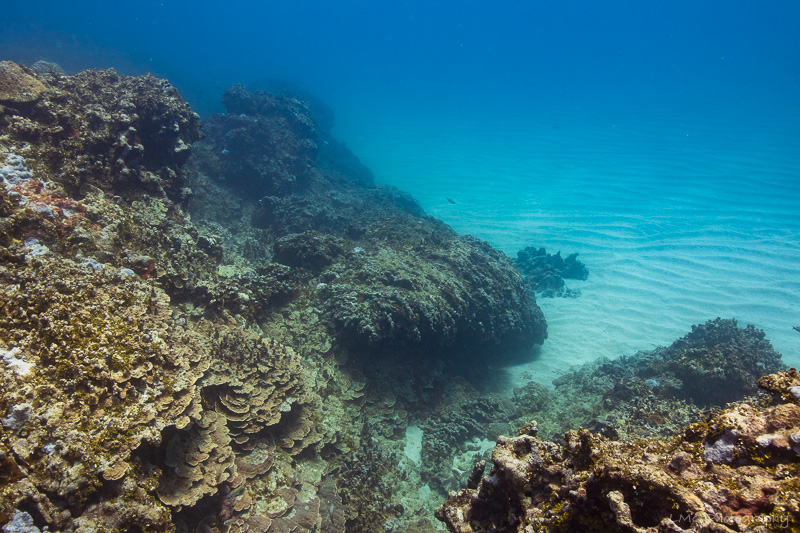 Hap's Reef photo 2