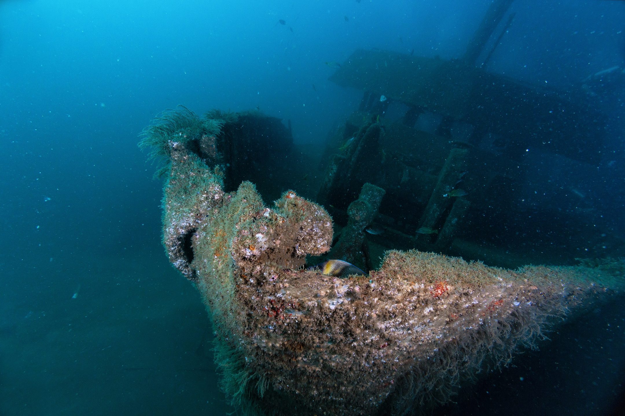 Princesa Vallarta Shipwreck photo 3