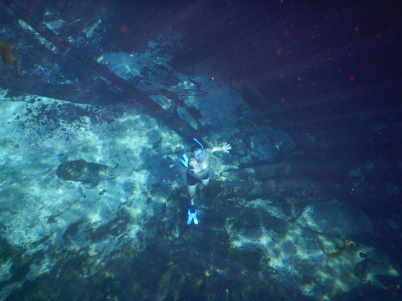 Fanning Springs State Park photo 2