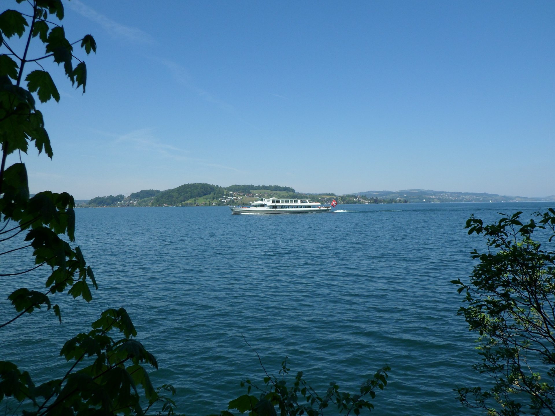 Lopper I Hergiswil photo 4