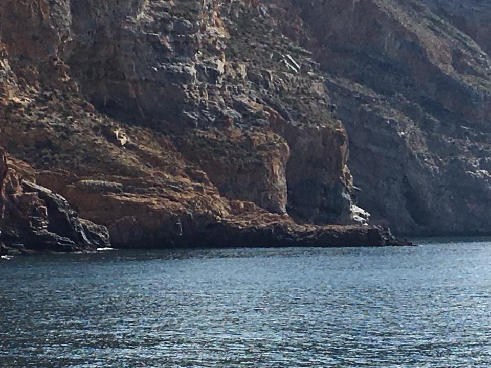 EL MUELLECICO