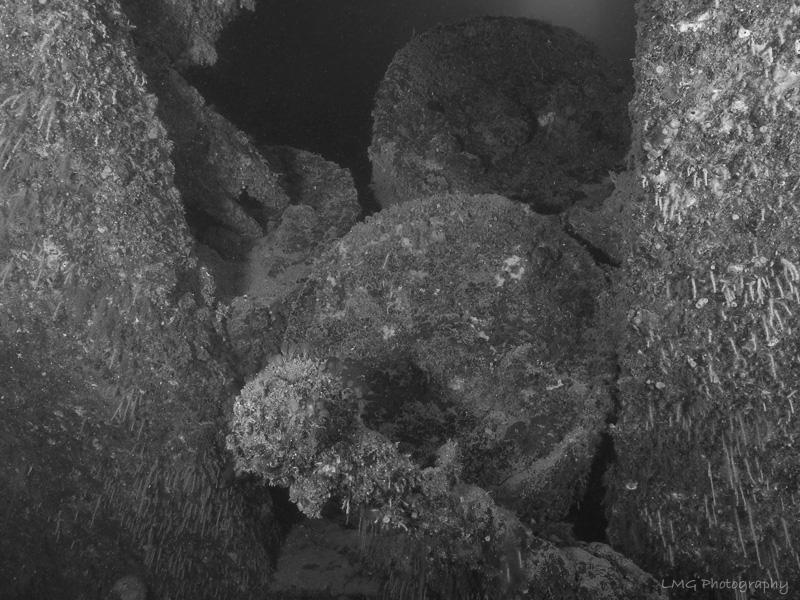 Tokai Maru photo 2