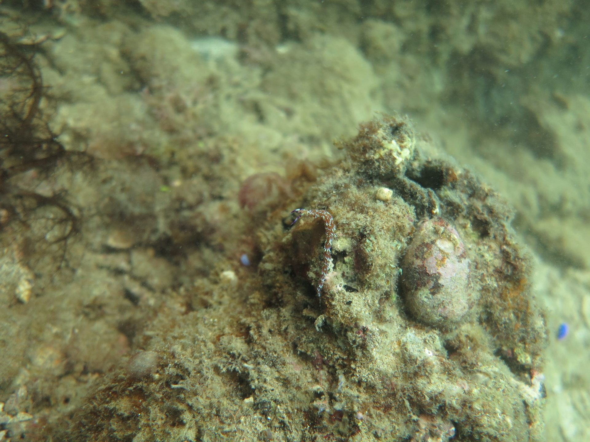 Cemetery Bay photo 3
