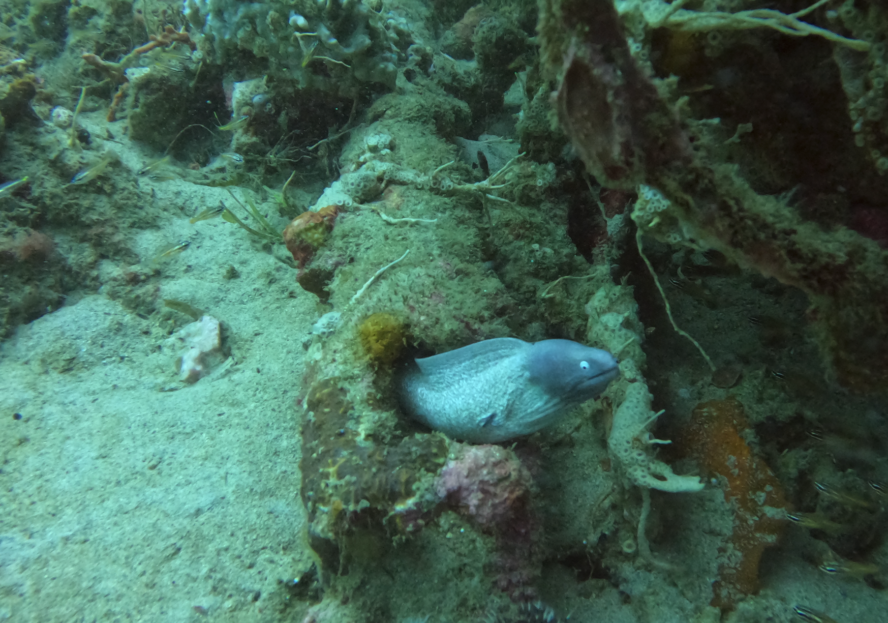 Secret Bay photo 2