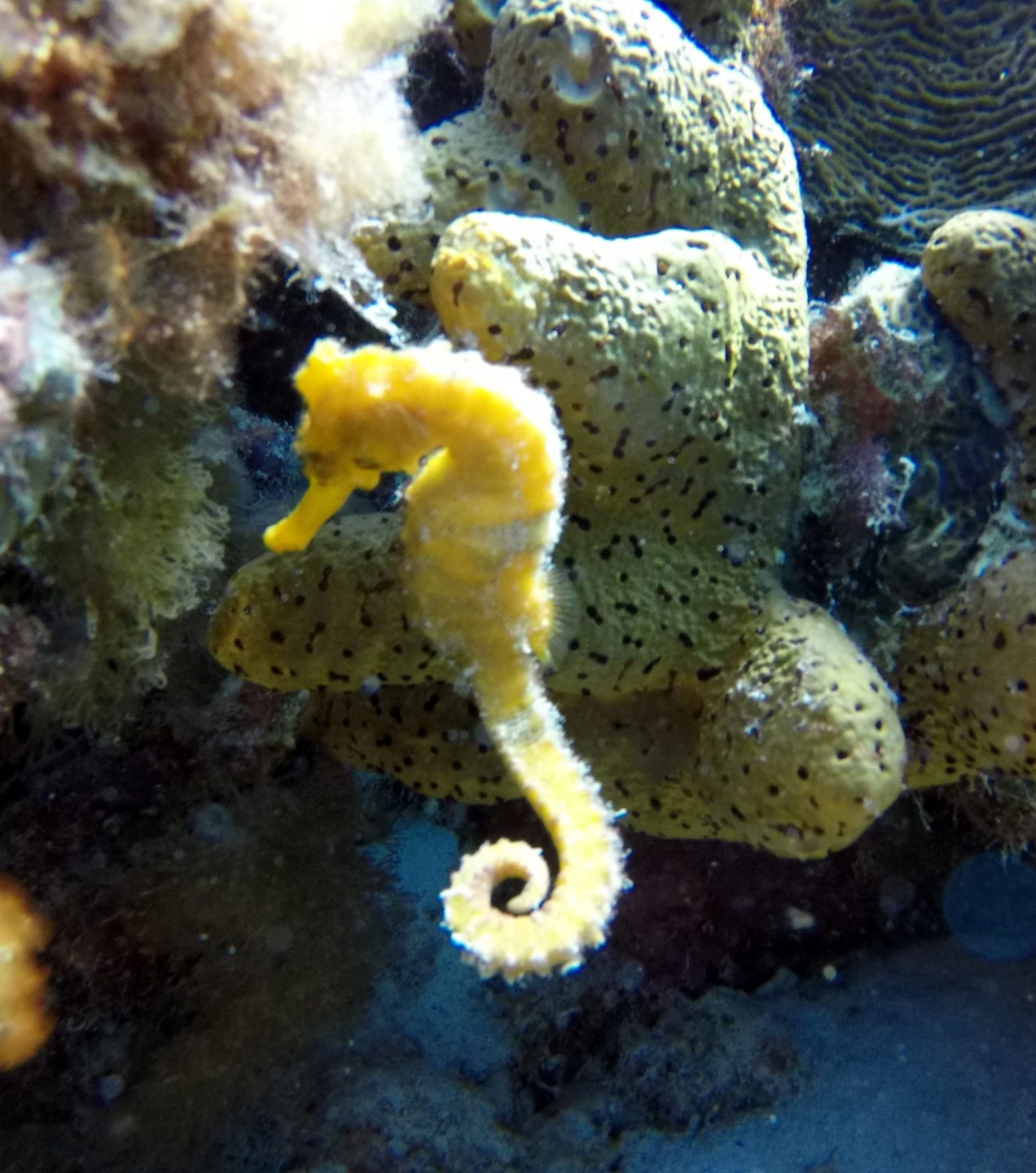 Porto Mari photo 4