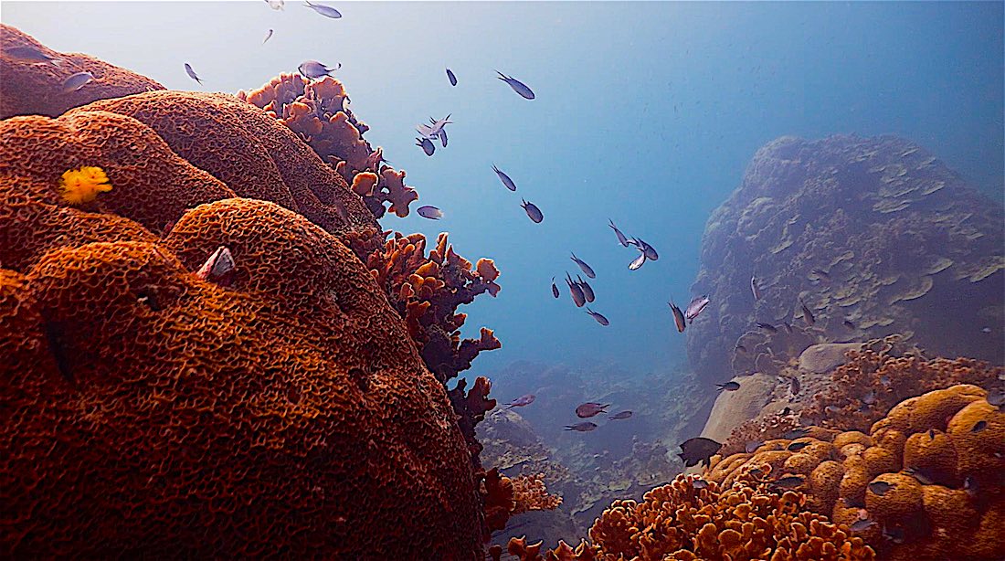 Hin Wong Bay photo 2