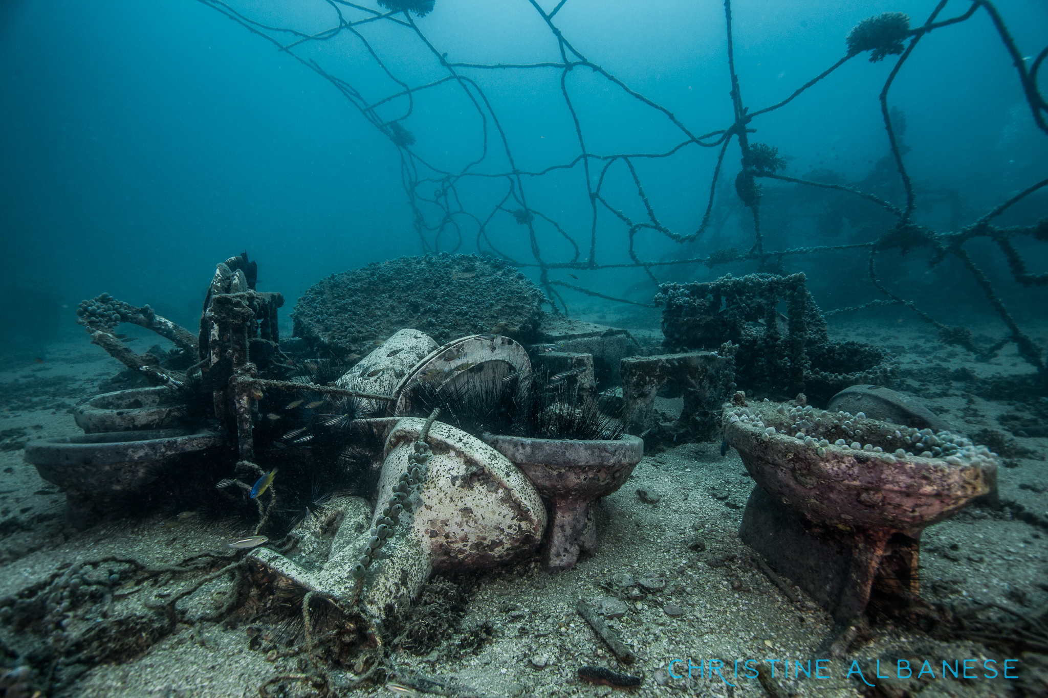 Junkyard Reef photo 5