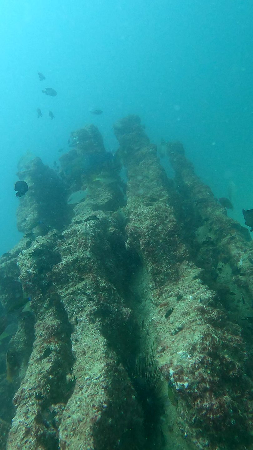 Aquarium photo 7