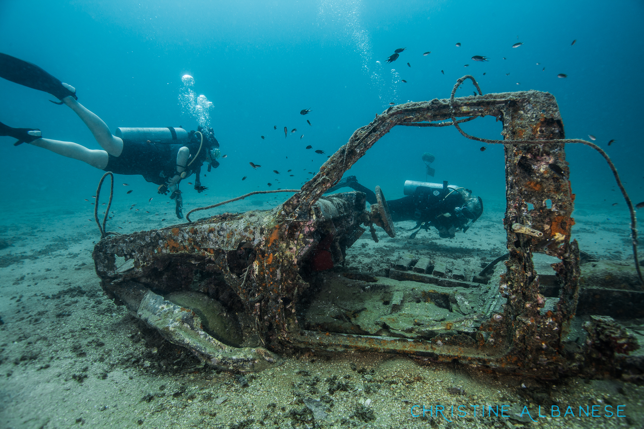 Junkyard Reef photo 9