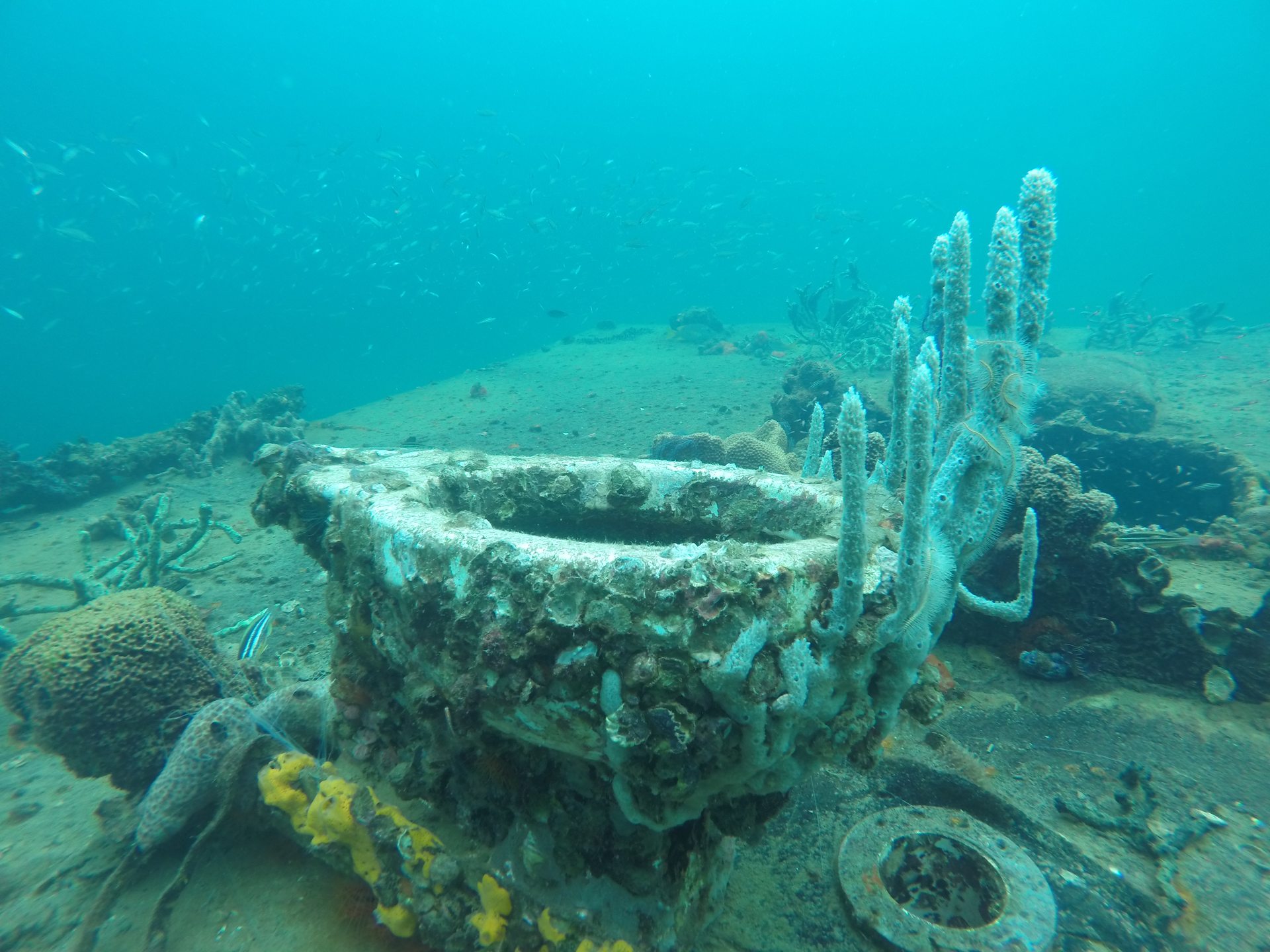 Barco Viejo photo 5