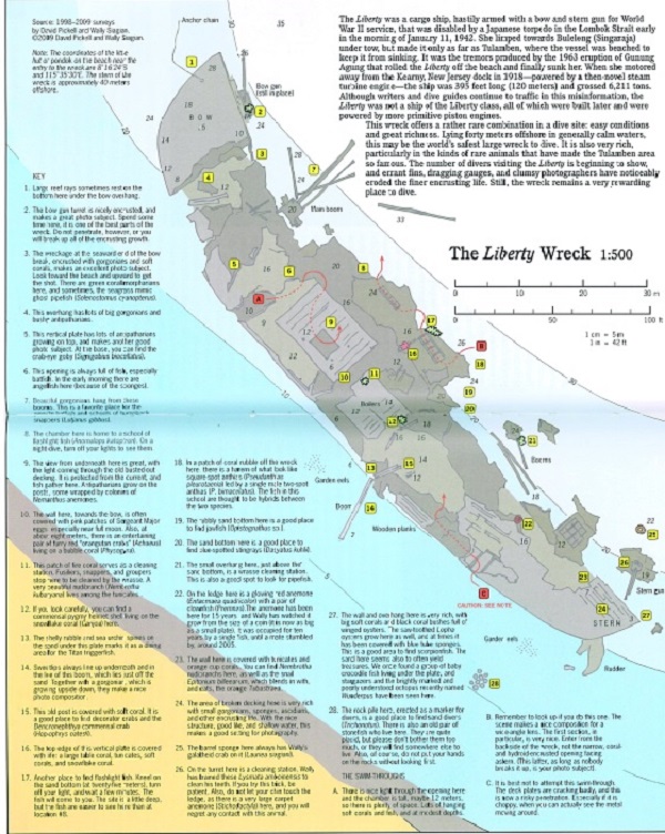 USAT Liberty Shipwreck photo 4