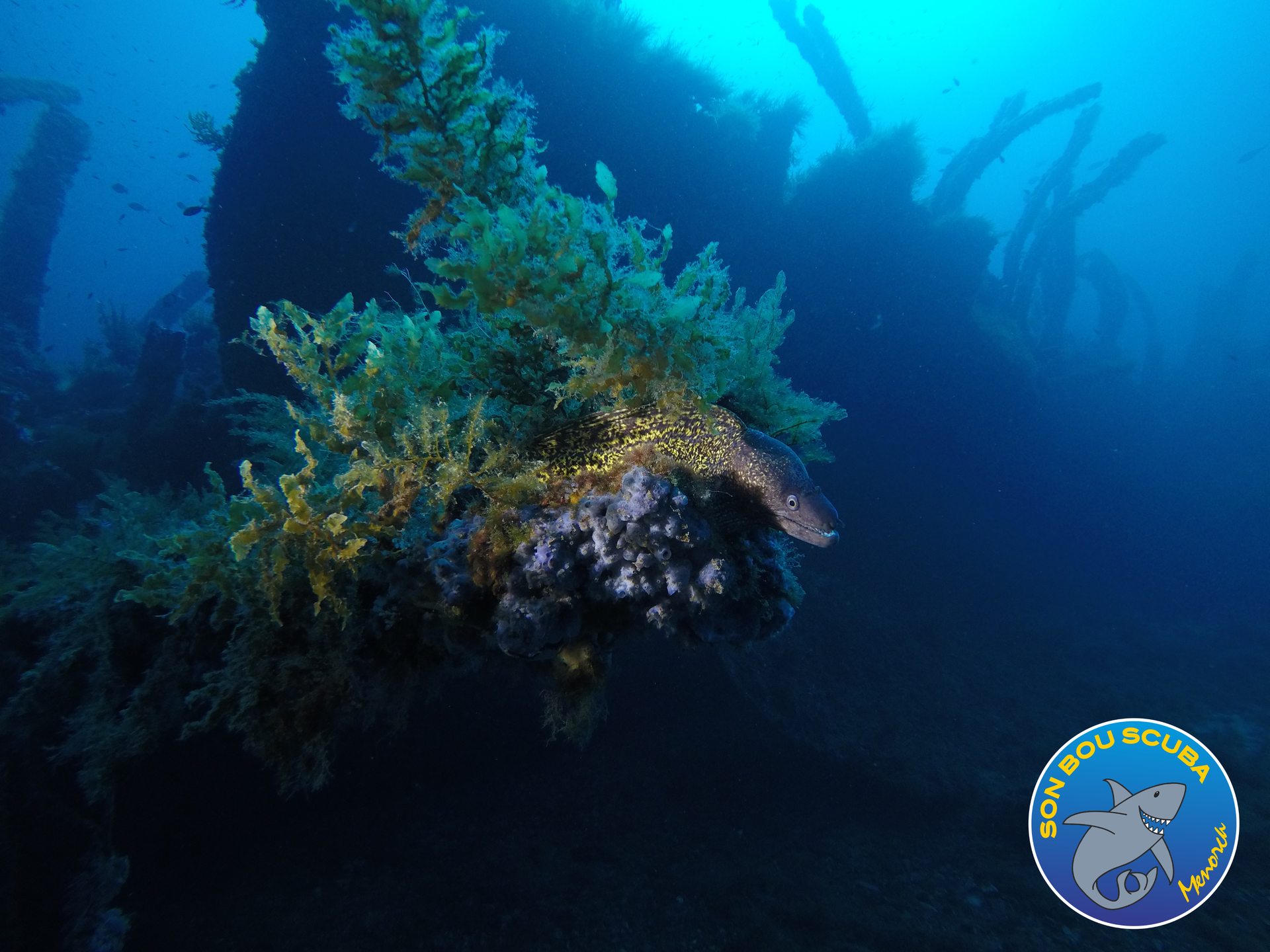 Malakoff wreck