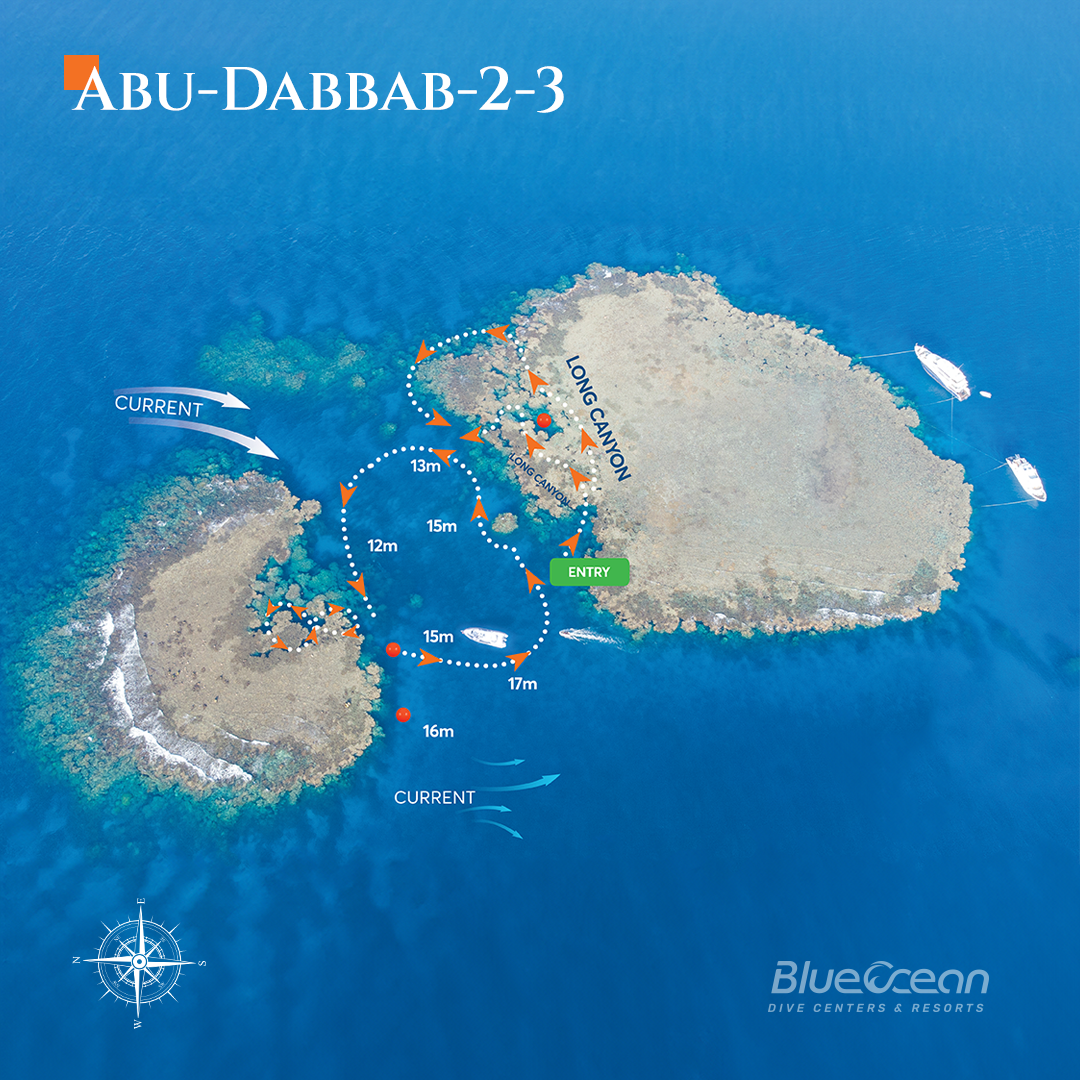 Abu Dabbab 2 * 3 Dive Site photo 2