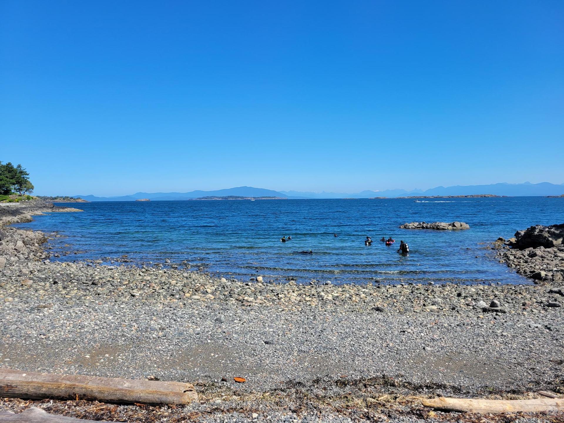 Tyee Cove photo 3