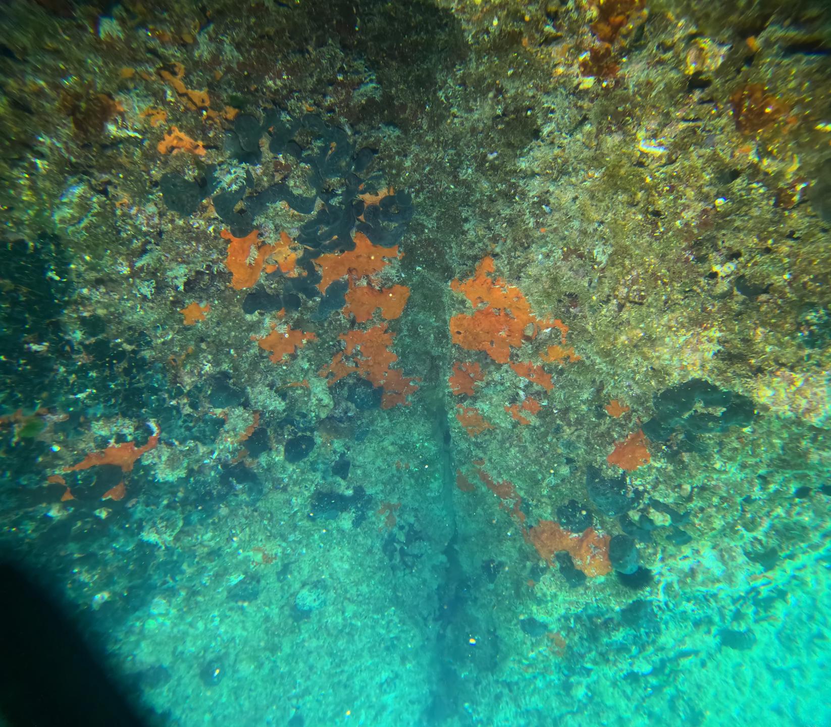 Nugal izvor - Mali Gaj photo 2
